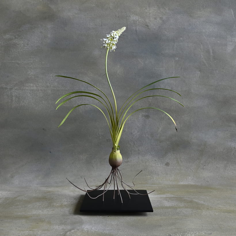 Private Collection: Memory Flower I