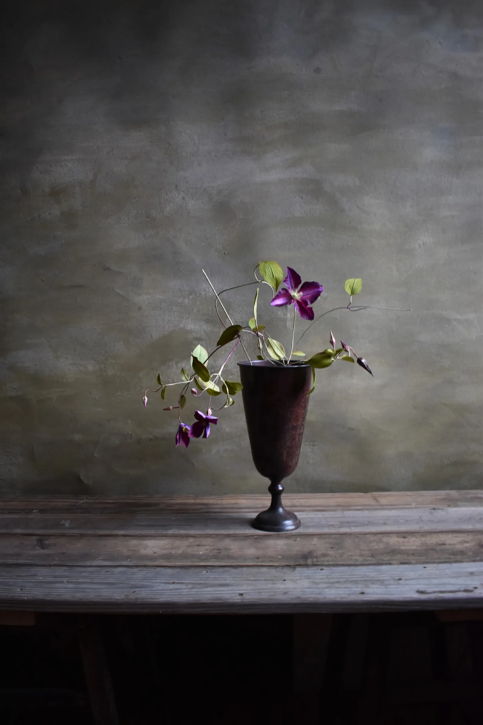 Clematis
