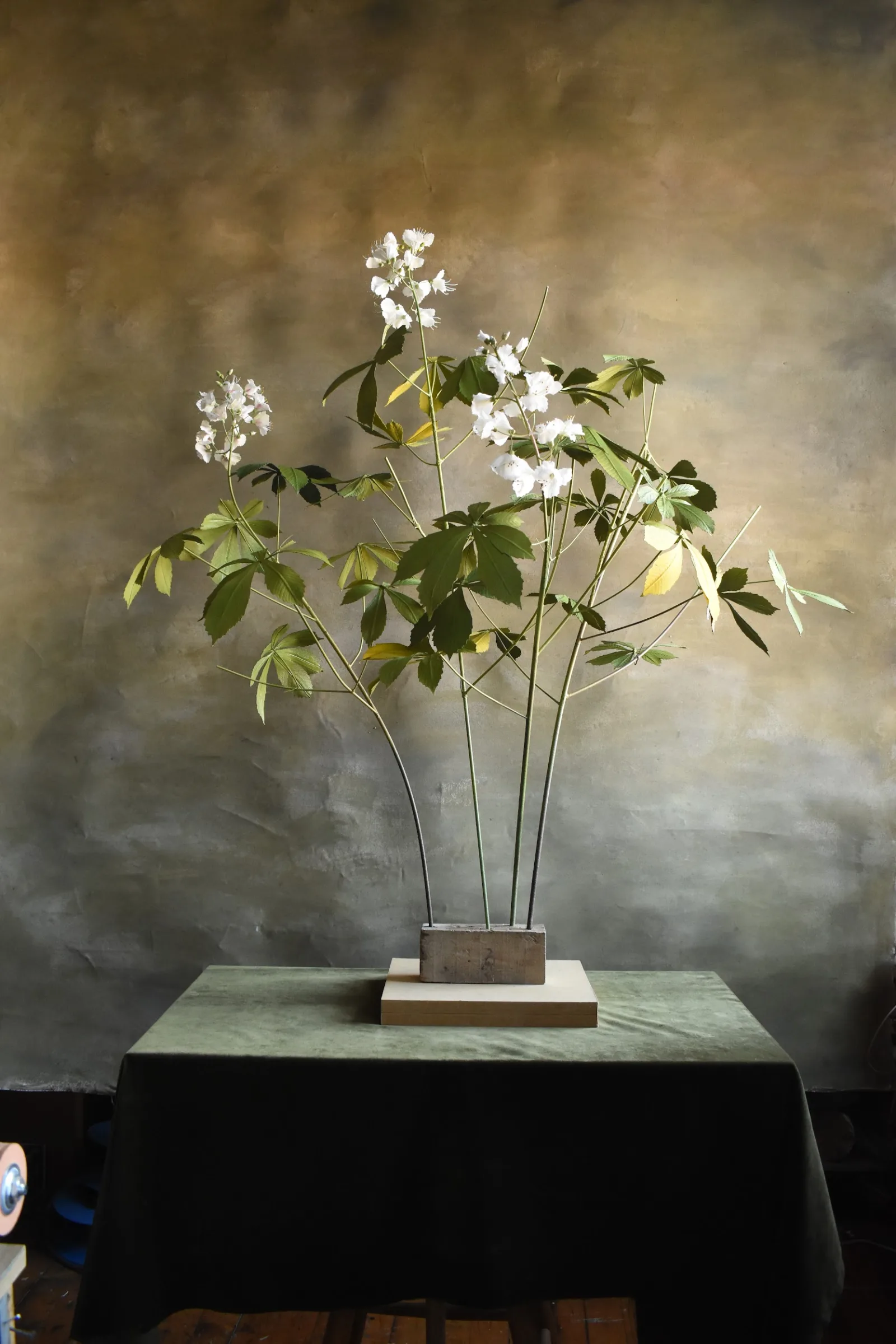 Horse Chestnut
