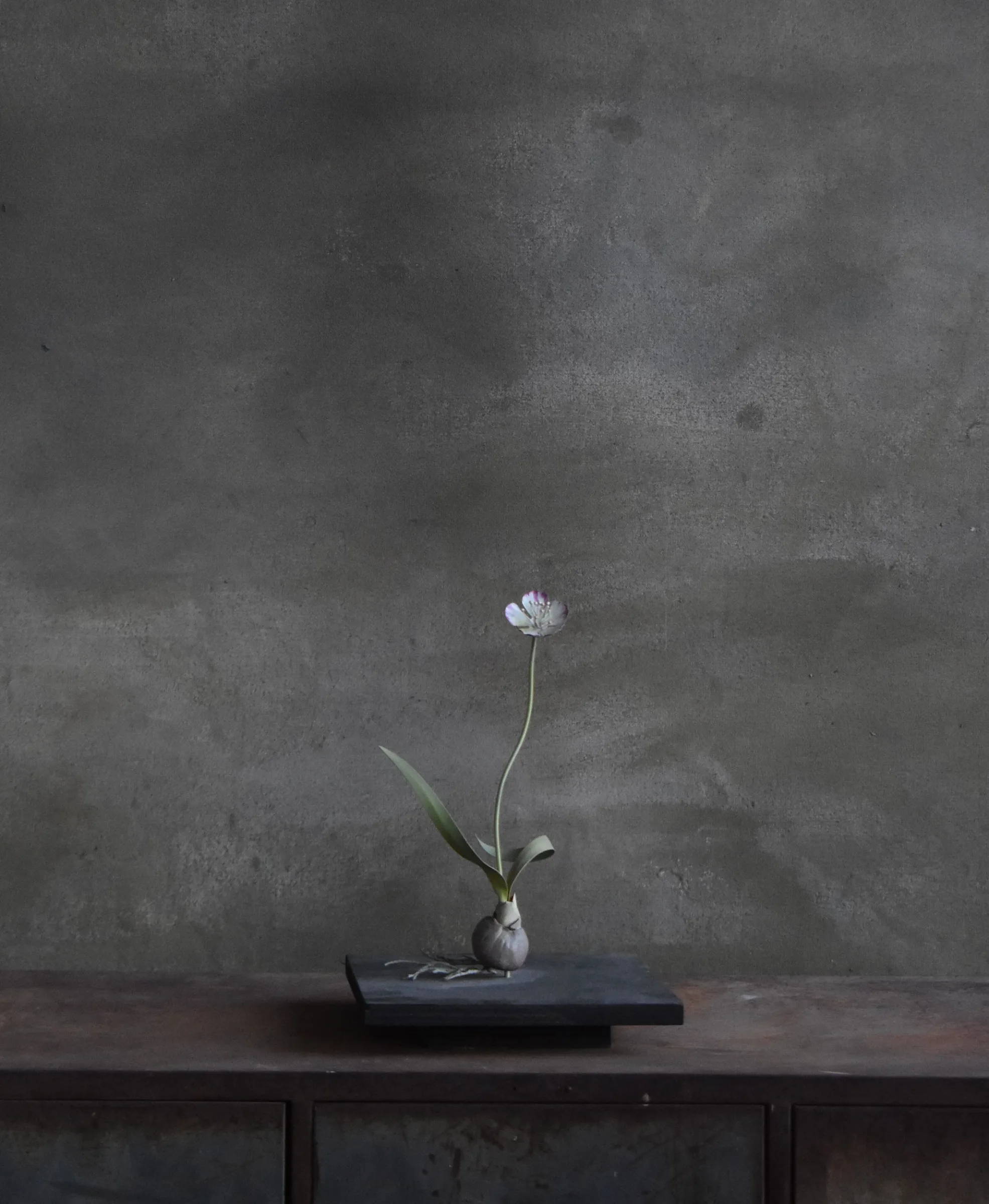 Memory Flower II