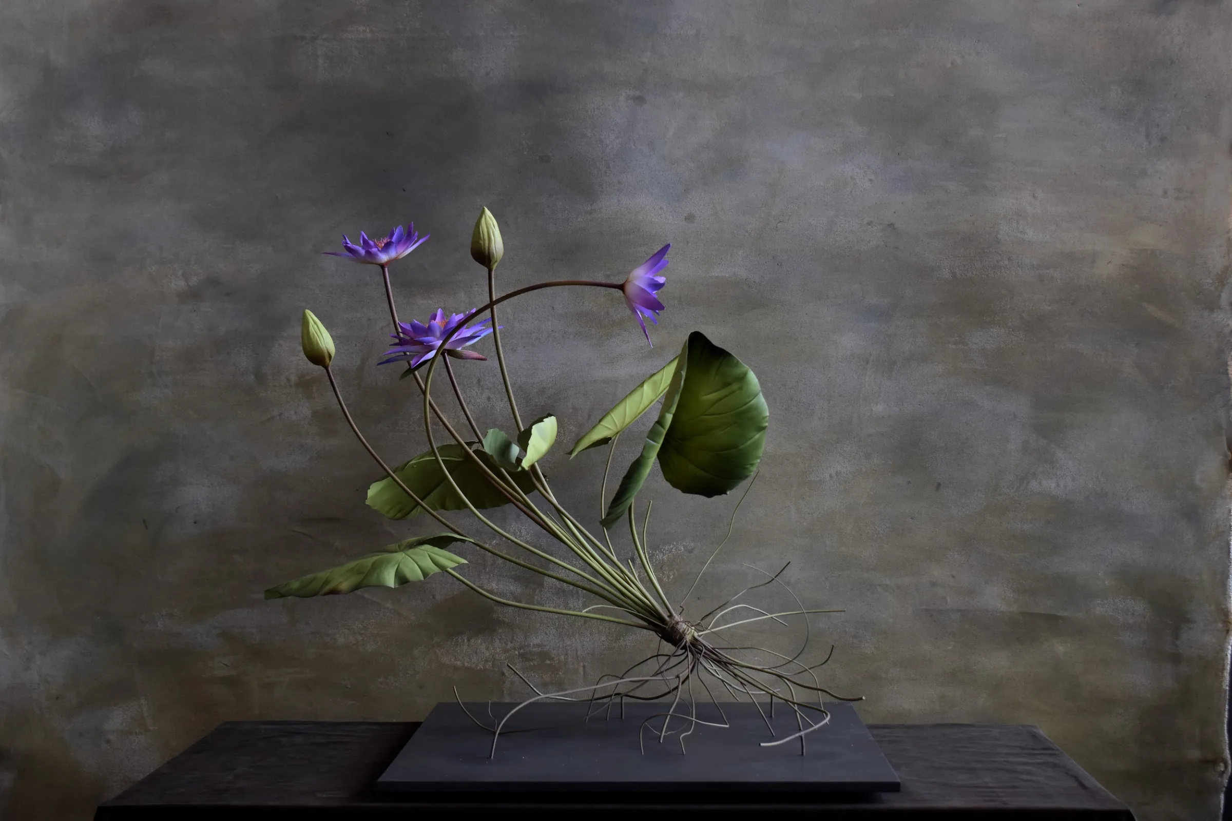 LOTUS WITH ROOTS (In Metal)