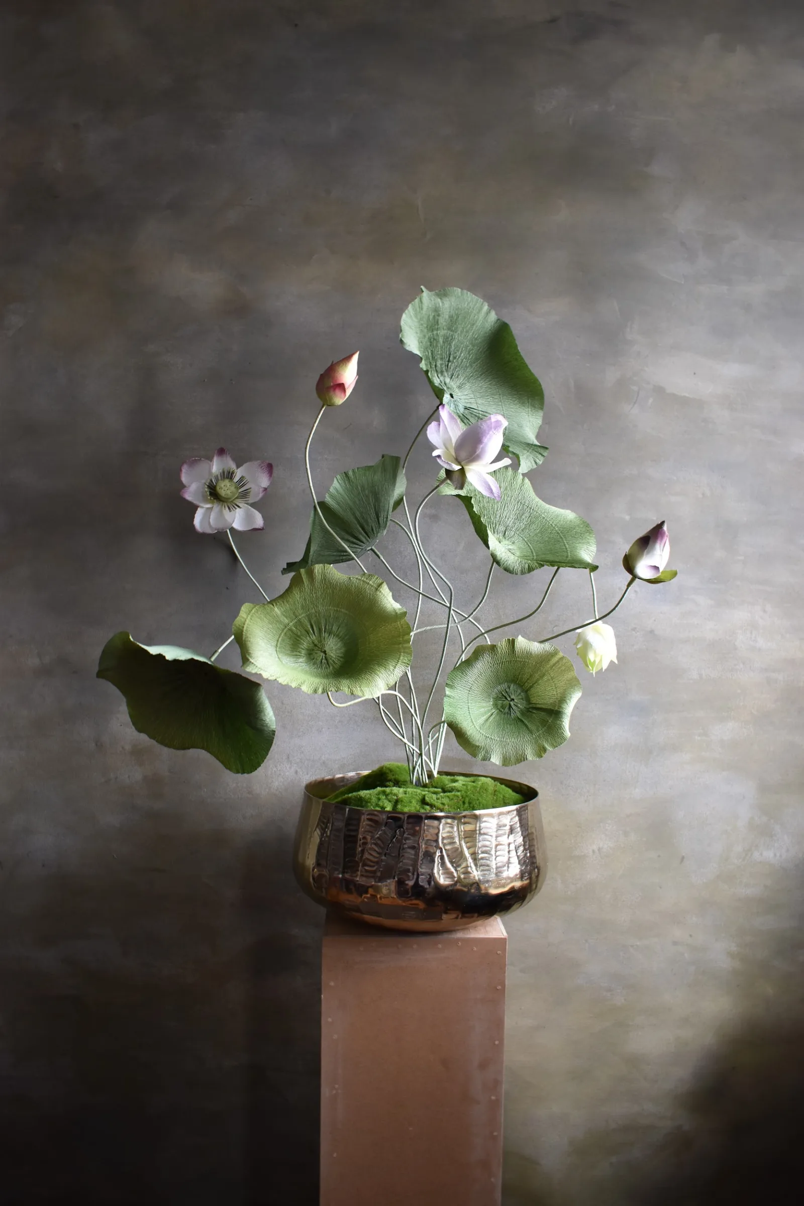 Lotus White
