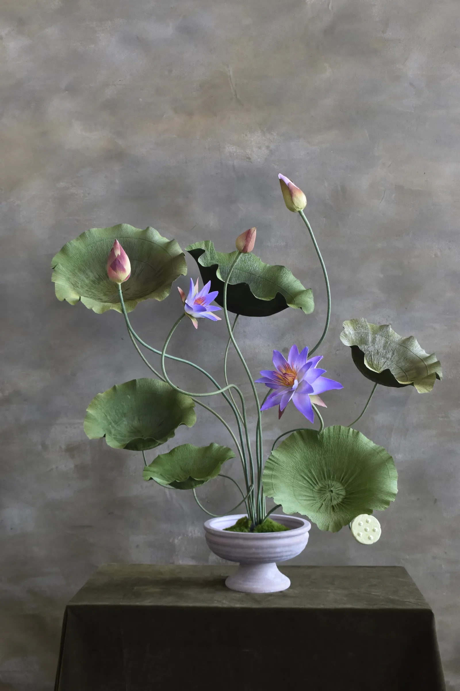 Lotus Purple