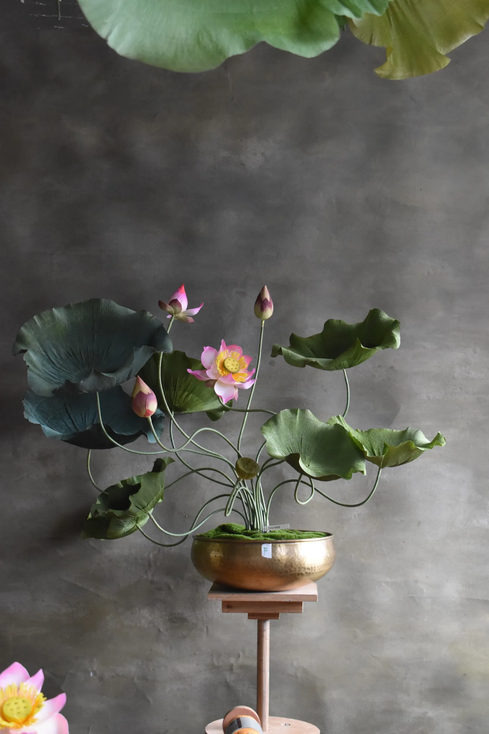 Lotus Pink