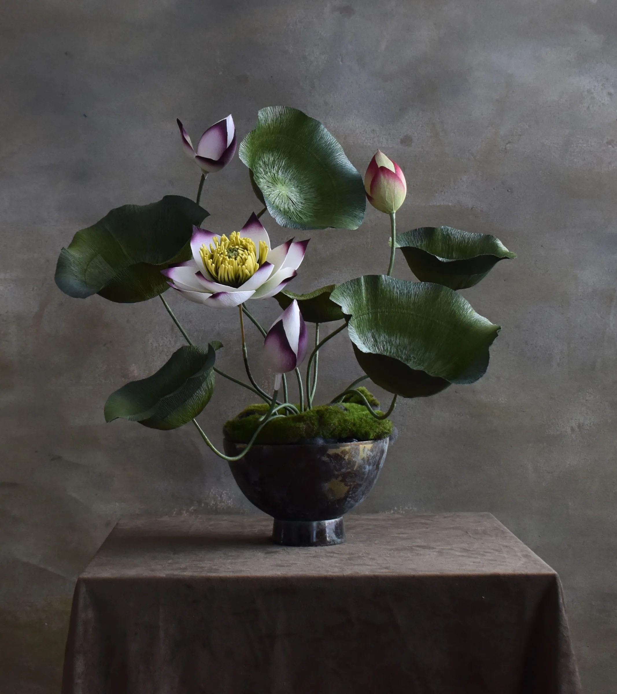 LOTUS (Small)