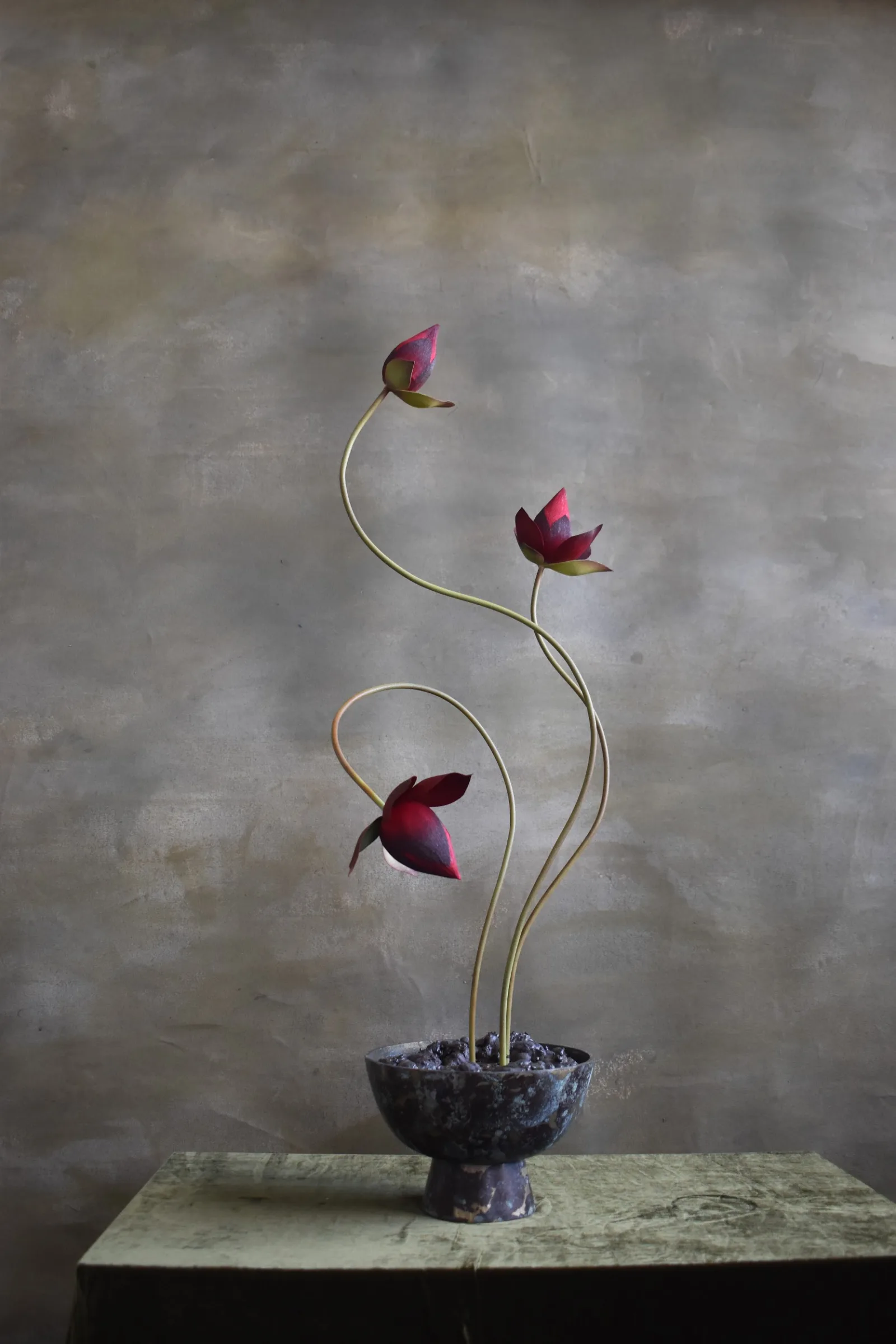 Lotus Bud